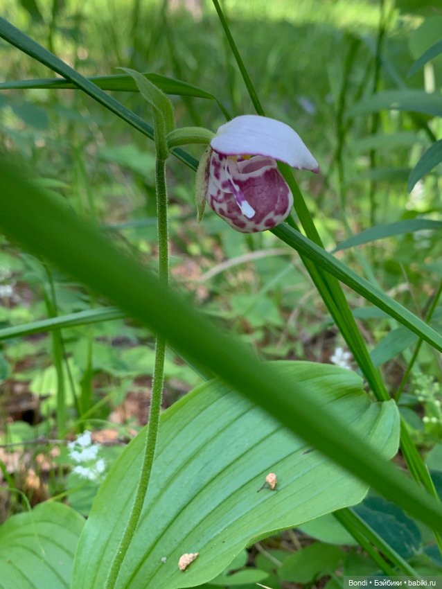 Просто выдался хороший, солнечный денёк
