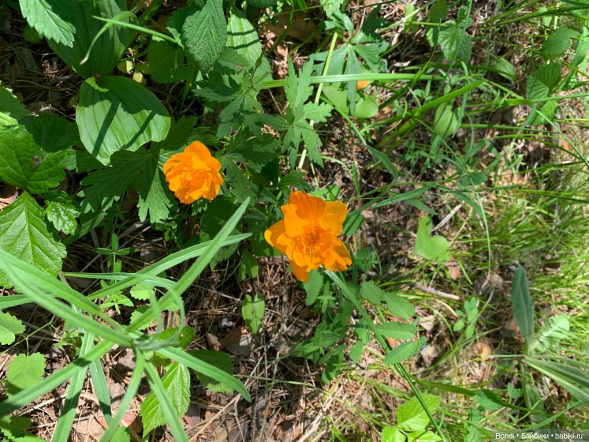 Просто выдался хороший, солнечный денёк