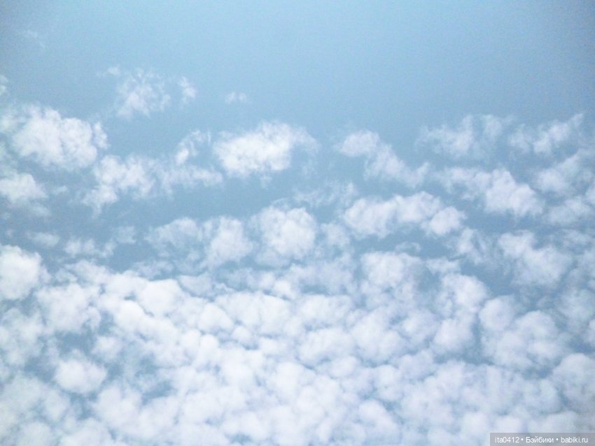 Мадлен. Гибрид Миссис Чтотут «Излом времени» на теле Неко МТМ