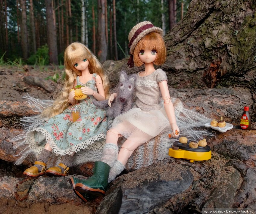 Мио и Майя на пикнике у Финского залива