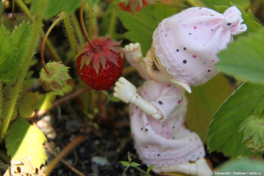 Большие приключения маленького эльфа (фото 5)