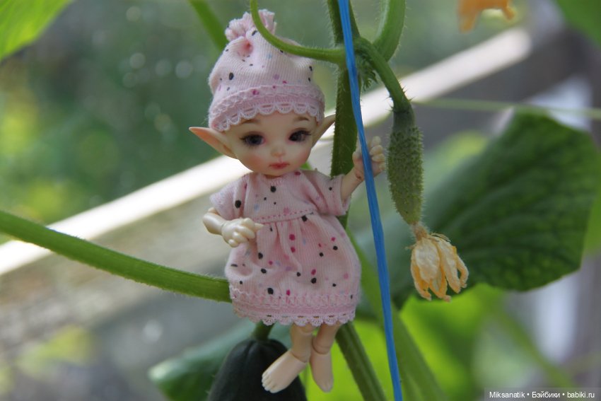 Большие приключения маленького эльфа