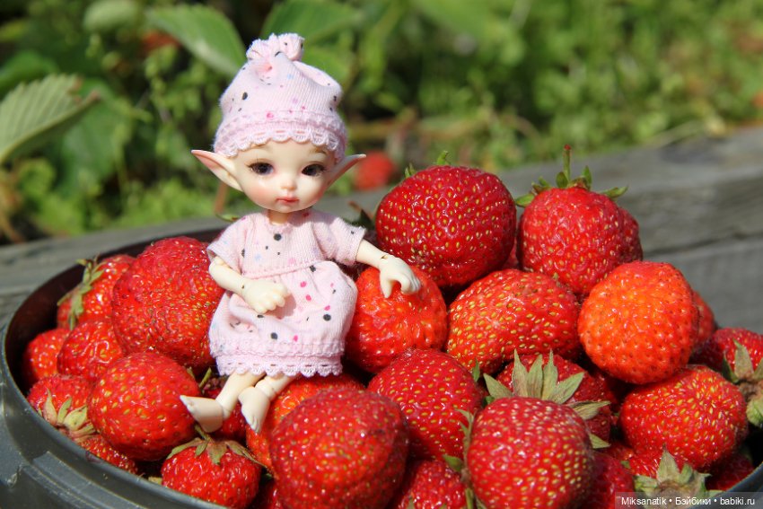 Большие приключения маленького эльфа (фото 6)