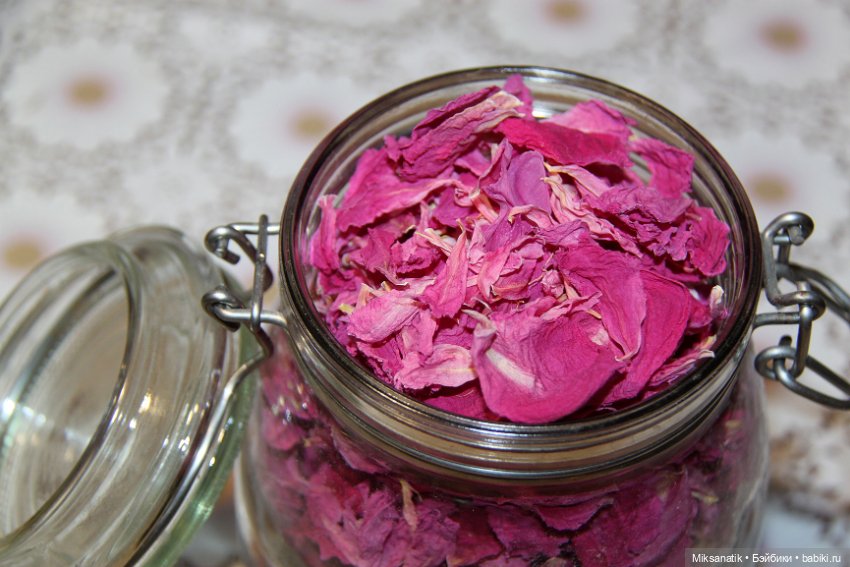 Большие приключения маленького эльфа