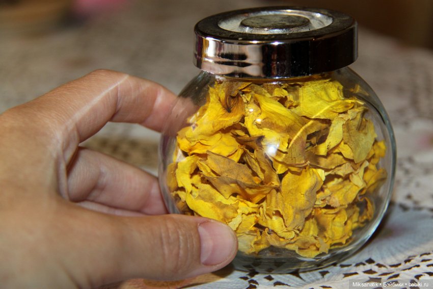 Большие приключения маленького эльфа