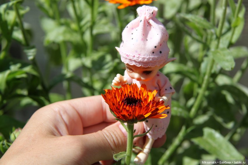 Большие приключения маленького эльфа