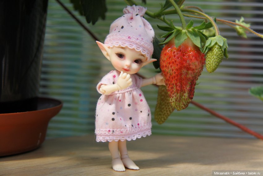 Большие приключения маленького эльфа (фото 4)