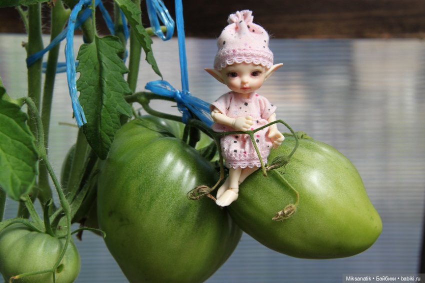 Большие приключения маленького эльфа (фото 10)