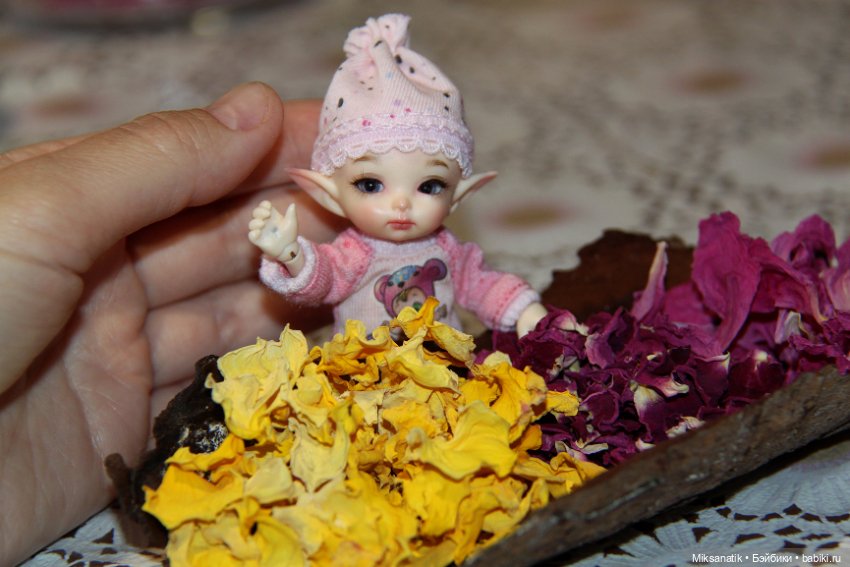 Большие приключения маленького эльфа