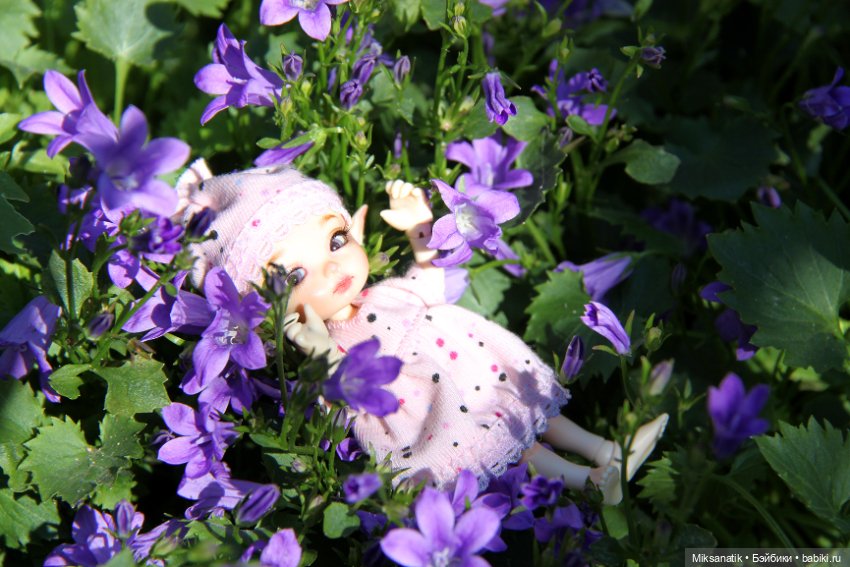 Большие приключения маленького эльфа