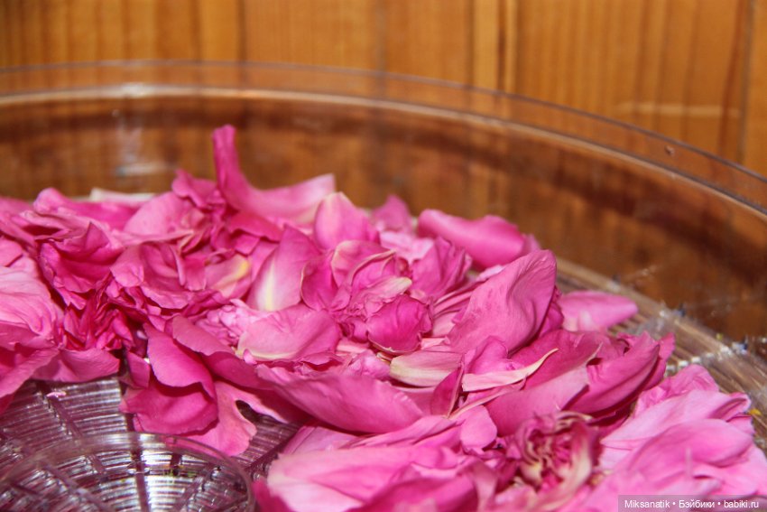 Большие приключения маленького эльфа