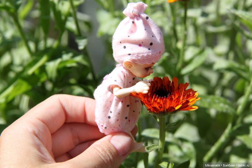 Большие приключения маленького эльфа