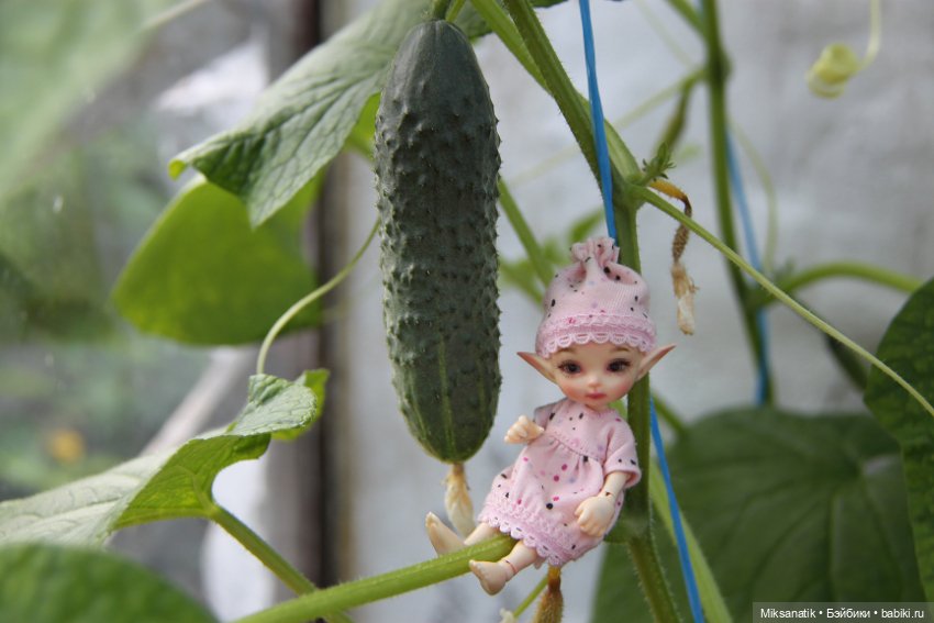 Большие приключения маленького эльфа