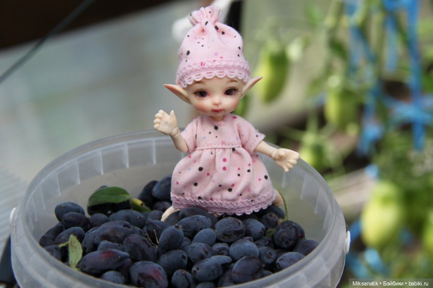 Большие приключения маленького эльфа (фото 7)