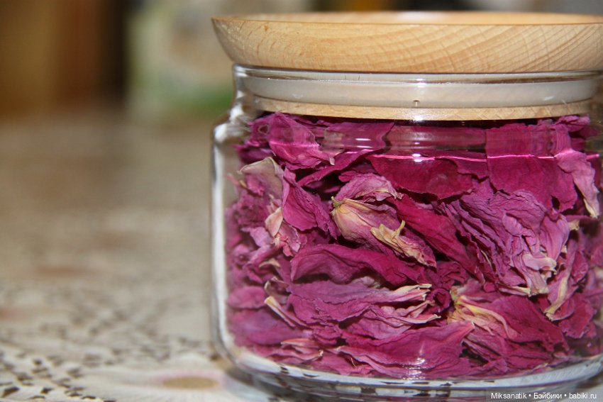 Большие приключения маленького эльфа