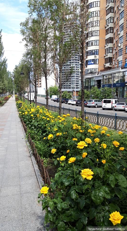 Прогулка по Киеву с Цветочным Эльфом (фото 5)