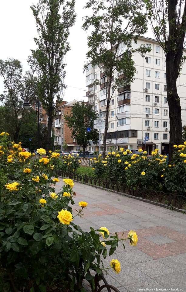 Прогулка по Киеву с Цветочным Эльфом