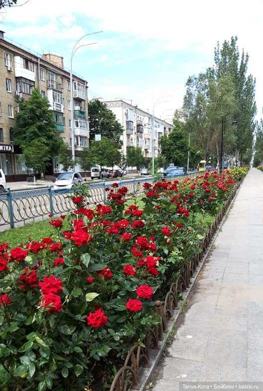 Прогулка по Киеву с Цветочным Эльфом