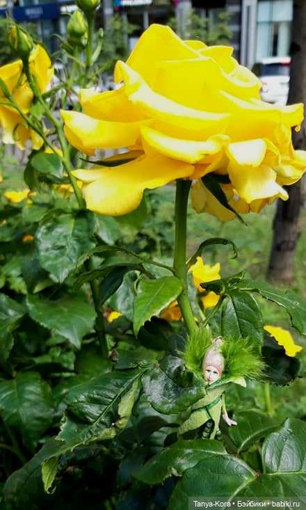 Прогулка по Киеву с Цветочным Эльфом