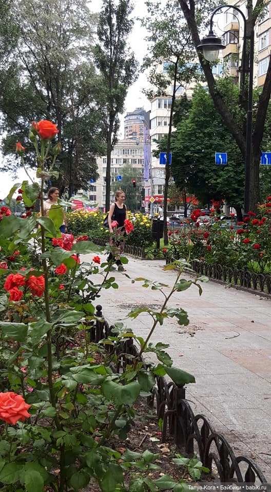 Прогулка по Киеву с Цветочным Эльфом