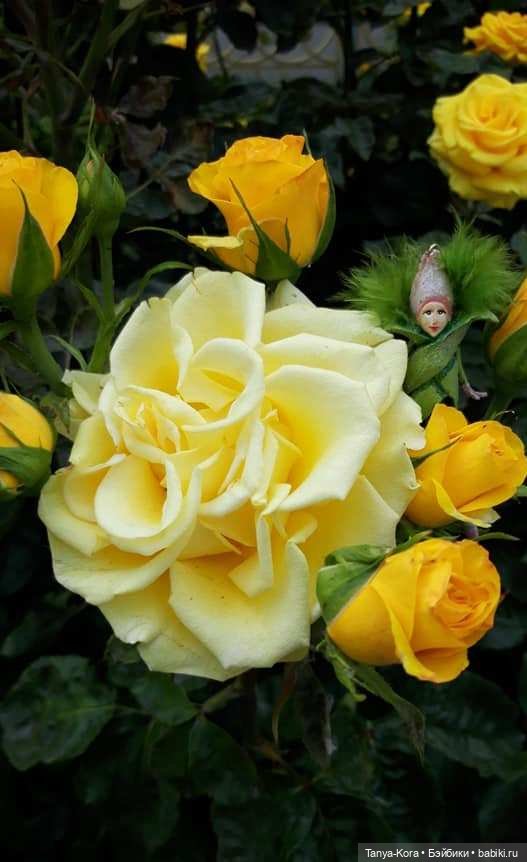 Прогулка по Киеву с Цветочным Эльфом (фото 7)