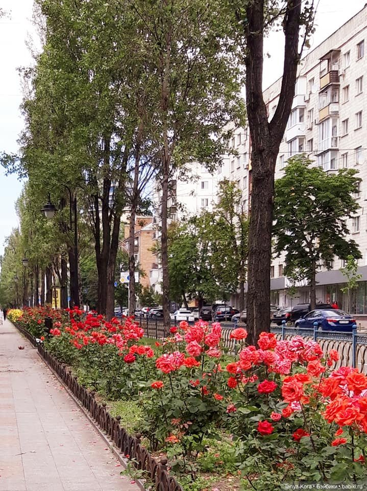 Прогулка по Киеву с Цветочным Эльфом