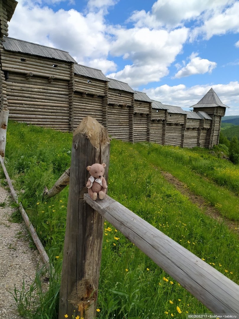 Мишка-путешественник — Красивая природа и цветы: фото пейзажей (фото 5)