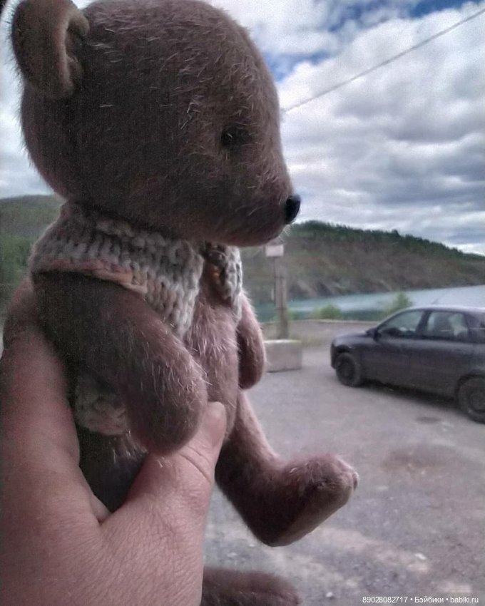 Мишка-путешественник — Красивая природа и цветы: фото пейзажей