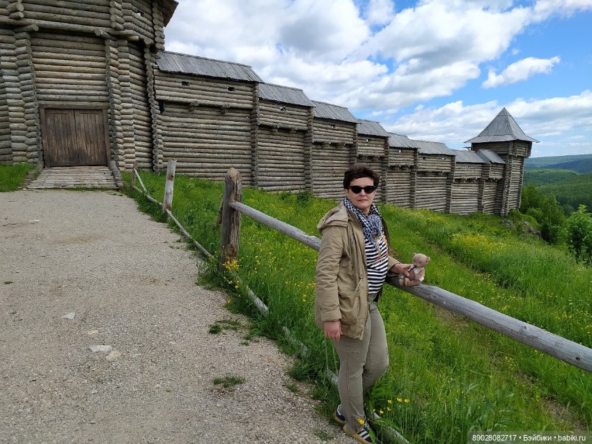 Мишка-путешественник — Красивая природа и цветы: фото пейзажей (фото 3)