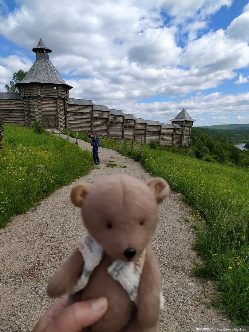 Мишка-путешественник — Красивая природа и цветы: фото пейзажей (фото 2)