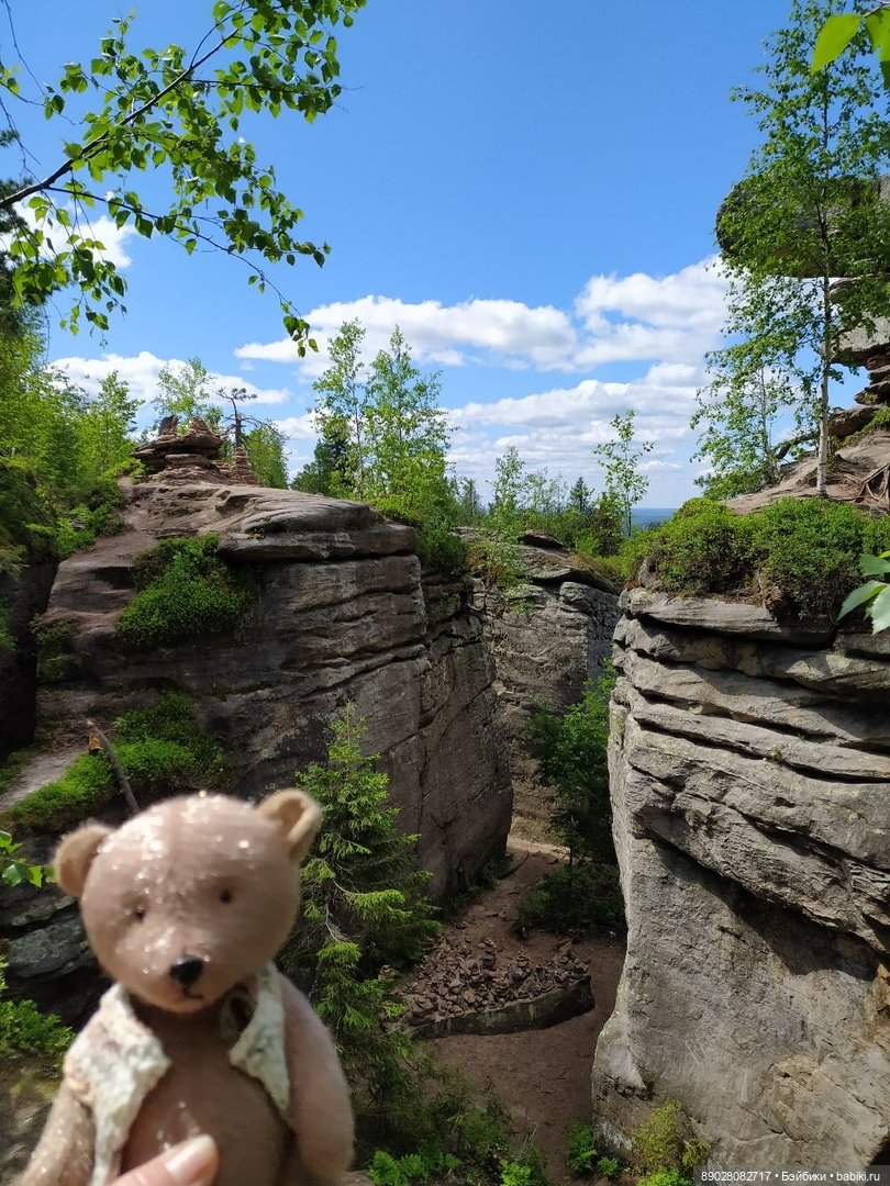 Мишка-путешественник — Красивая природа и цветы: фото пейзажей (фото 7)