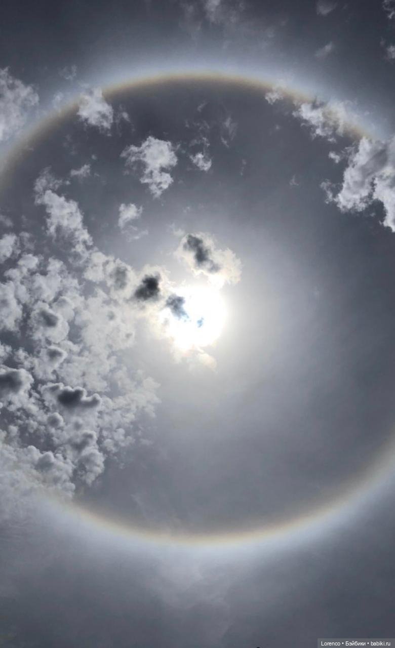 Июньская прогулка — Болталка и разговоры обо всем: жизнь