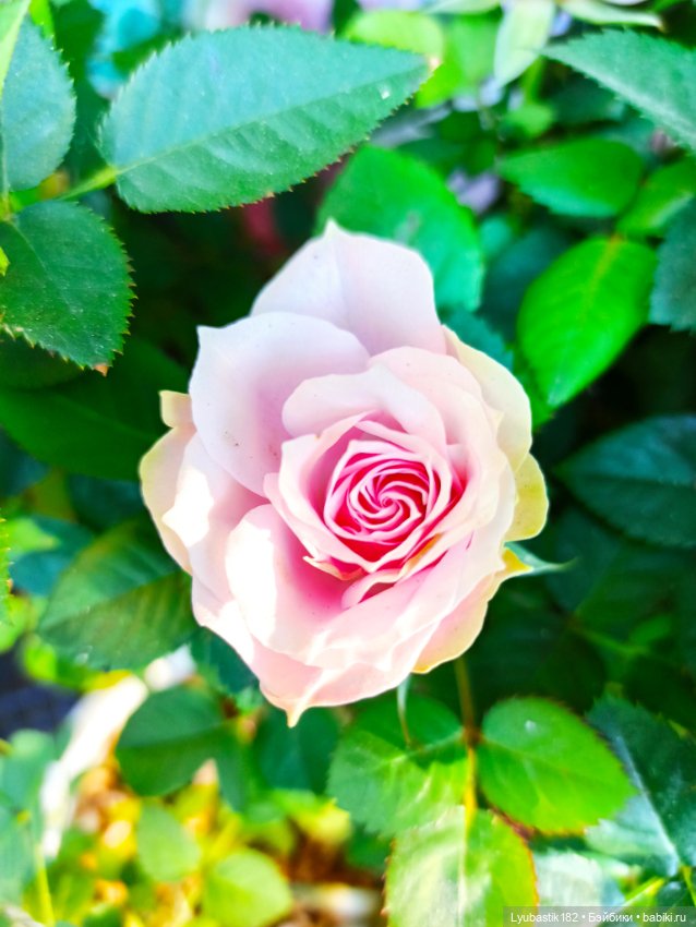 Возьми нас с собой — Болталка и разговоры обо всем: жизнь