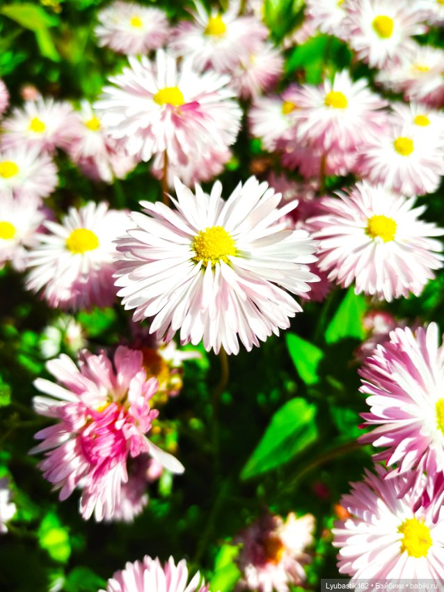 Возьми нас с собой — Болталка и разговоры обо всем: жизнь