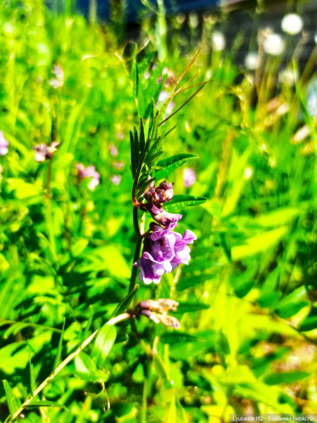 Возьми нас с собой — Болталка и разговоры обо всем: жизнь (фото 3)