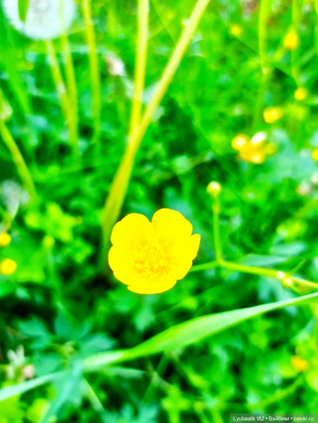 Возьми нас с собой — Болталка и разговоры обо всем: жизнь