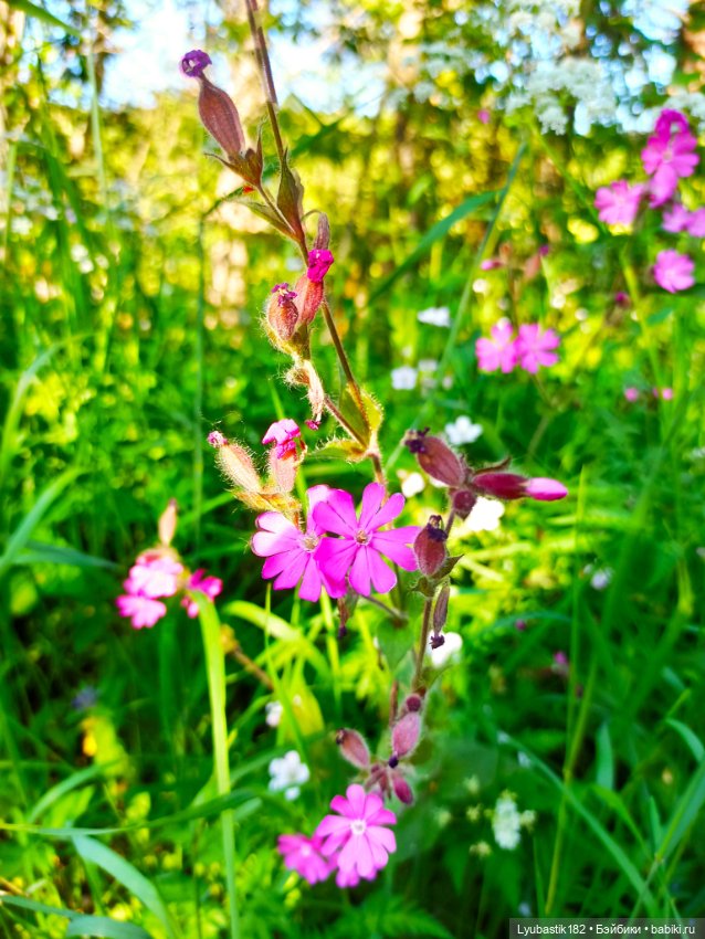 Возьми нас с собой — Болталка и разговоры обо всем: жизнь