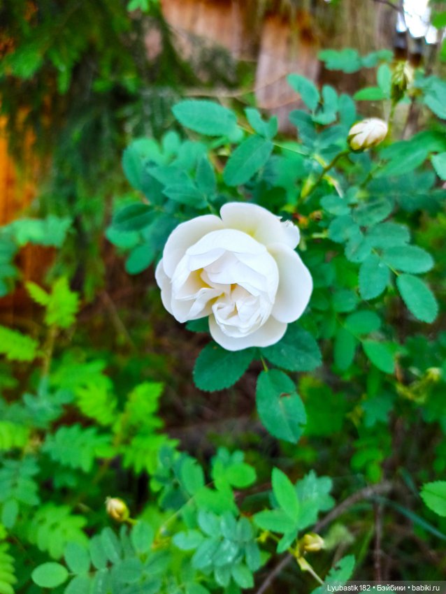 Возьми нас с собой — Болталка и разговоры обо всем: жизнь