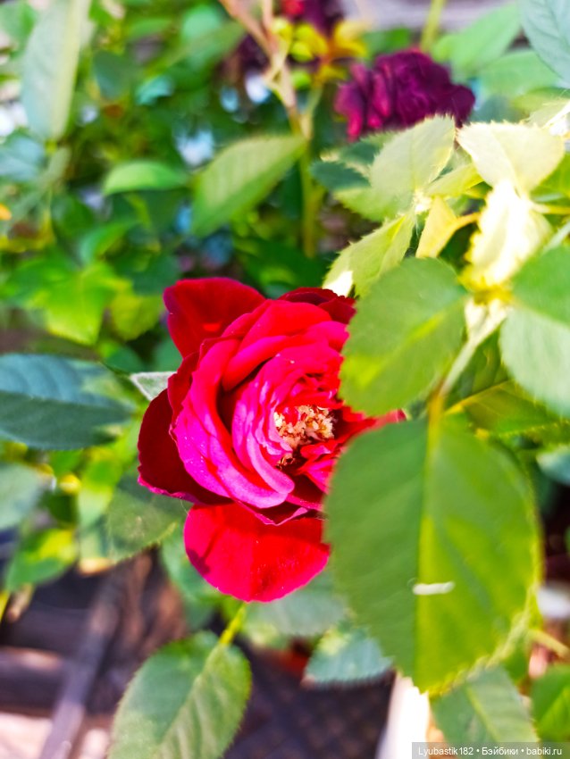 Возьми нас с собой — Болталка и разговоры обо всем: жизнь