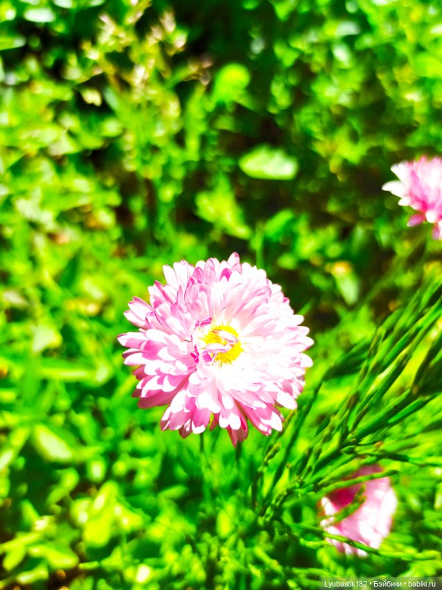 Возьми нас с собой — Болталка и разговоры обо всем: жизнь (фото 7)