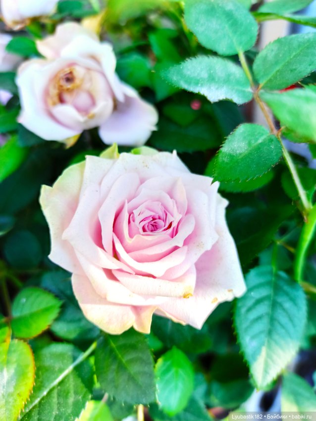 Возьми нас с собой — Болталка и разговоры обо всем: жизнь