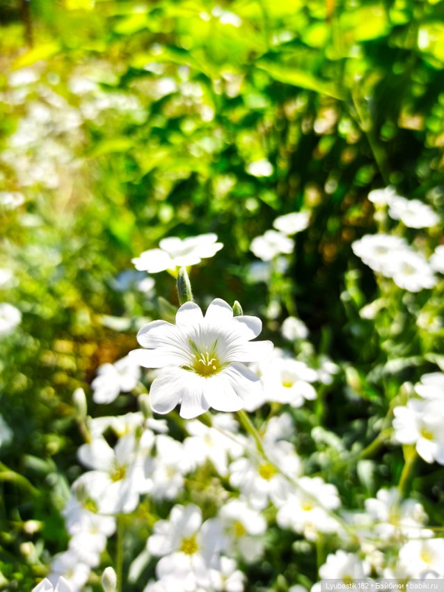 Возьми нас с собой — Болталка и разговоры обо всем: жизнь (фото 2)