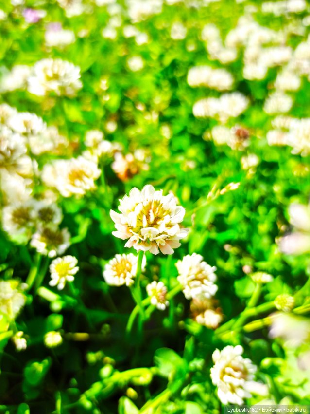 Возьми нас с собой — Болталка и разговоры обо всем: жизнь (фото 5)