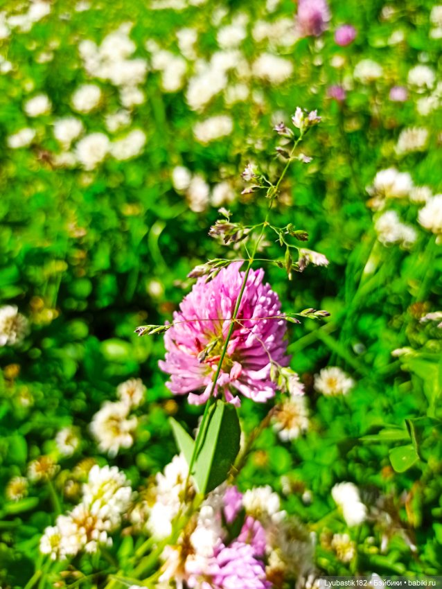 Возьми нас с собой — Болталка и разговоры обо всем: жизнь (фото 4)