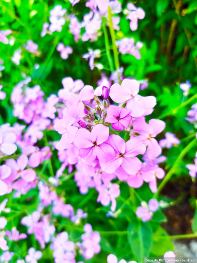 Возьми нас с собой — Болталка и разговоры обо всем: жизнь