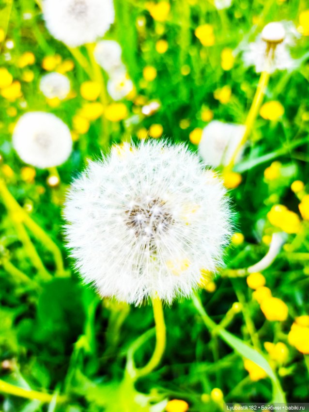 Возьми нас с собой — Болталка и разговоры обо всем: жизнь