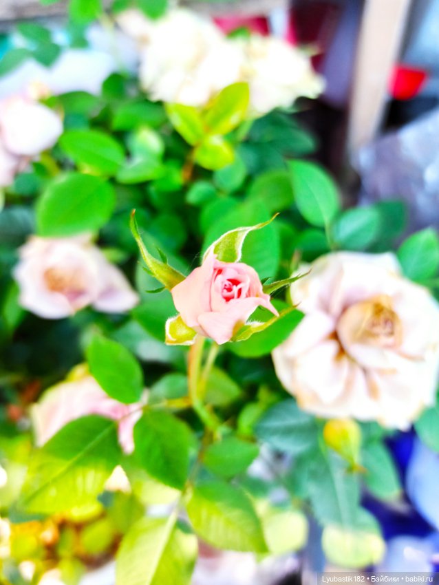 Возьми нас с собой — Болталка и разговоры обо всем: жизнь