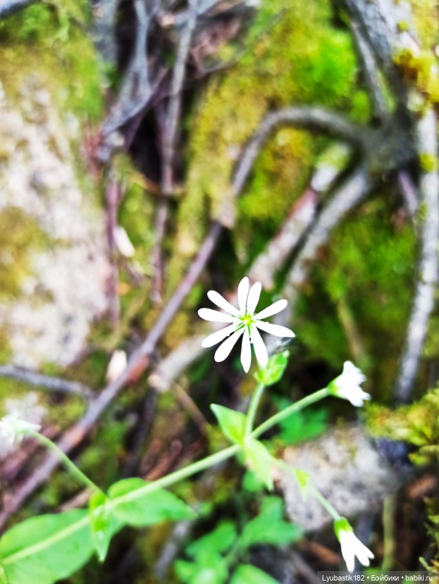 У реки — Болталка и разговоры обо всем: жизнь (фото 4)