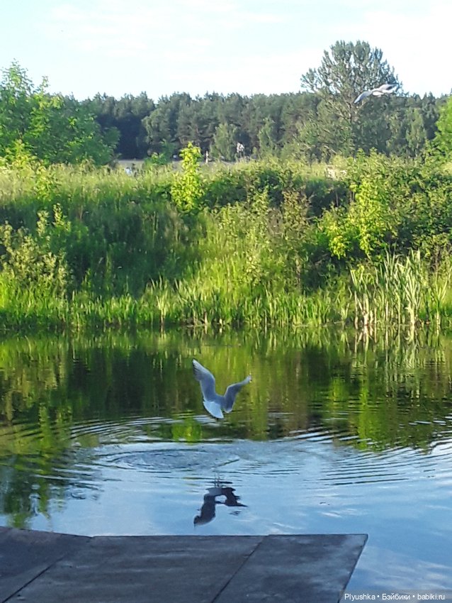 Небо под ногами — Куклы и тела Obitsu (Обитсу): 1/6 (фото 5)