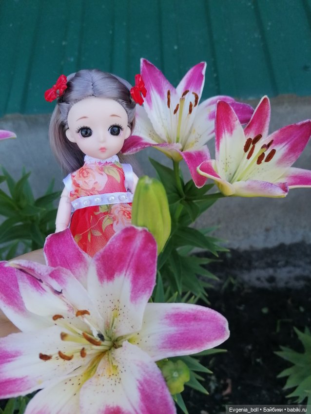 Лёлькины обновки или лилейная принцесса (фото 2)